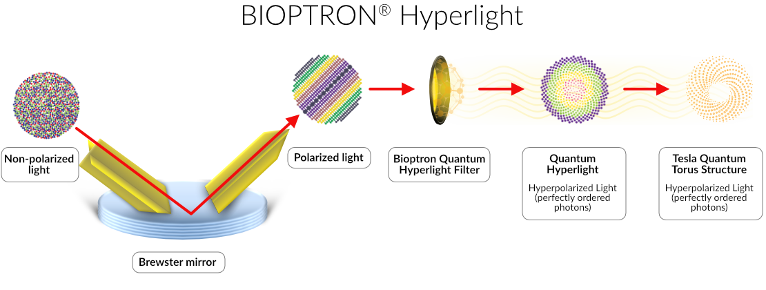 DiagramHyperpolarizedLight-XL