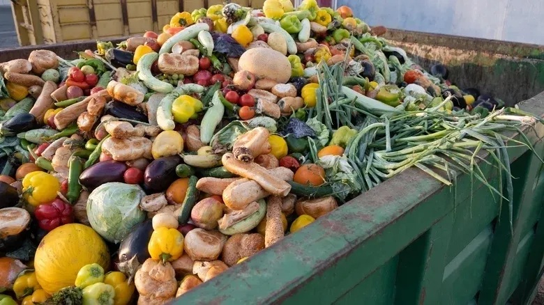 How to reduce food waste in your home