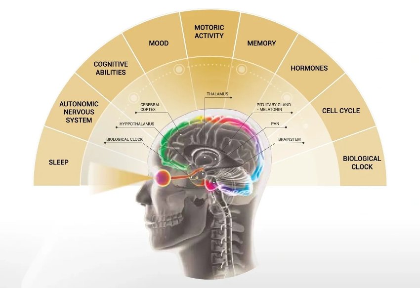 Quantum medicine for a quantum body